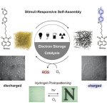 New cell-inspired material eliminates need for metals, plastics in ...