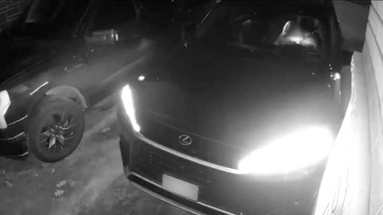 Quebec residents charged in major southwestern Ontario auto theft bust