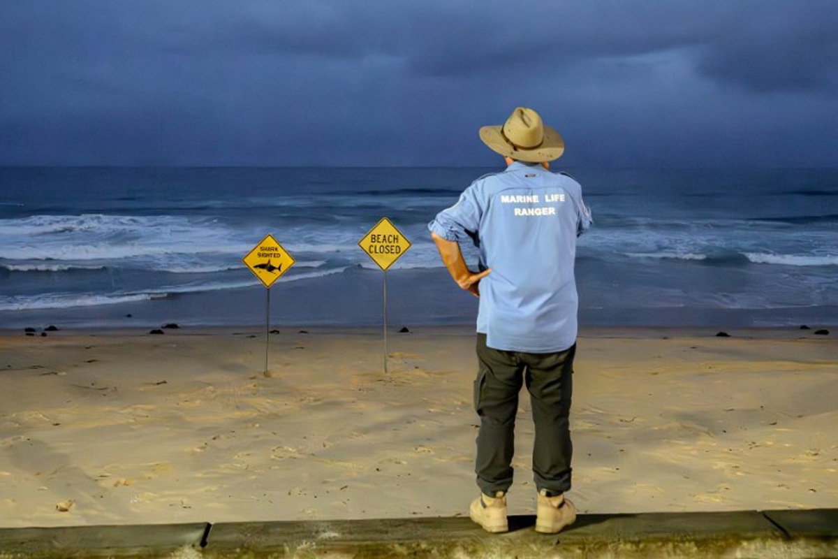 Australie : fermetures de plages à Sydney après une nouvelle attaque de ...