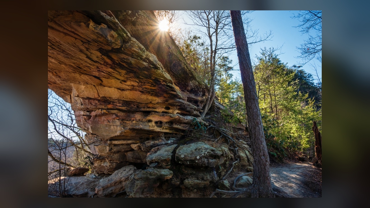 One road through eastern Kentucky loops past 100 arches, a river, and a ...