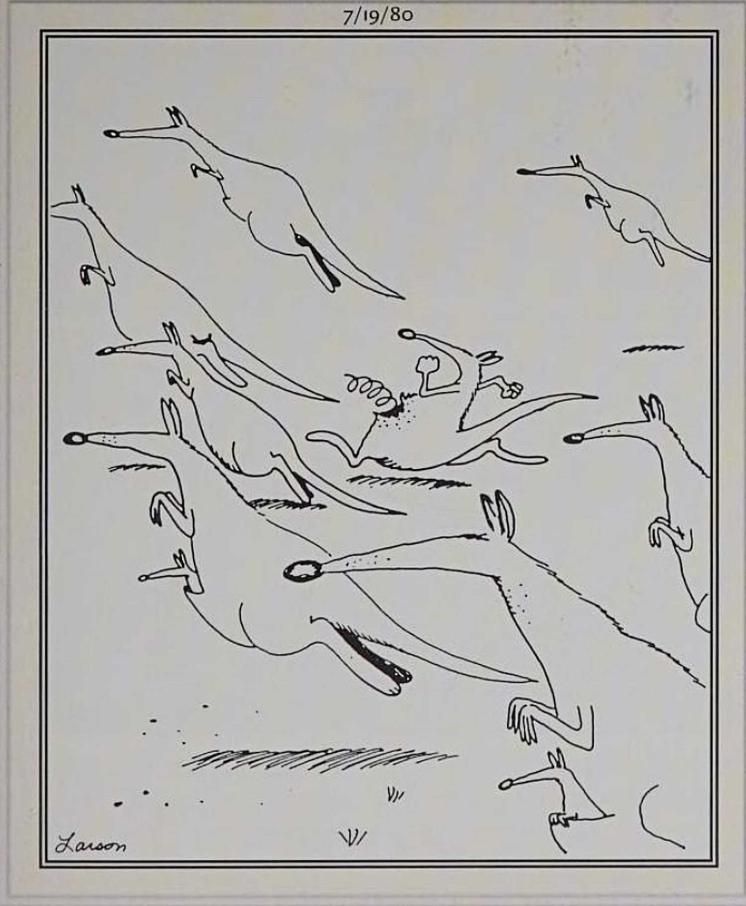Far Side, July 19, 1980, a kangaroo with a broken spring