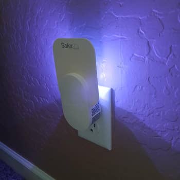 Plug-in fly catcher in an electrical outlet emits a blue glow against the wall; labeled