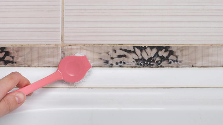How to remove hidden mold and dirt from 5 household spots
