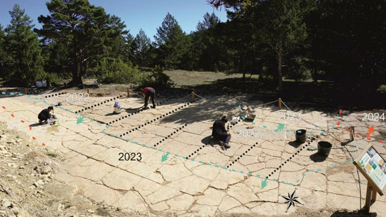 Los expertos en paleontología encumbran como referencia mundial a un ...
