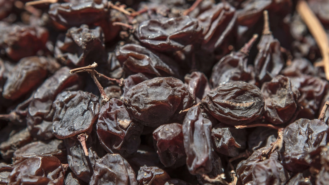 22-everyday-items-that-can-poison-dogs