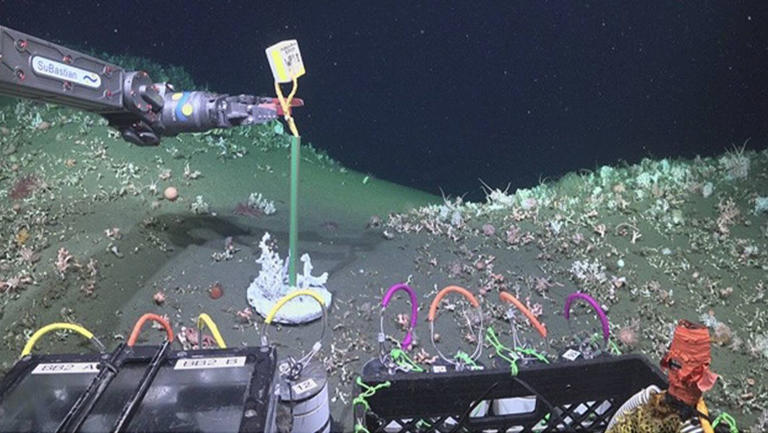 Exploran el Atlántico frente a Argentina y encuentran una ciudad oculta ...