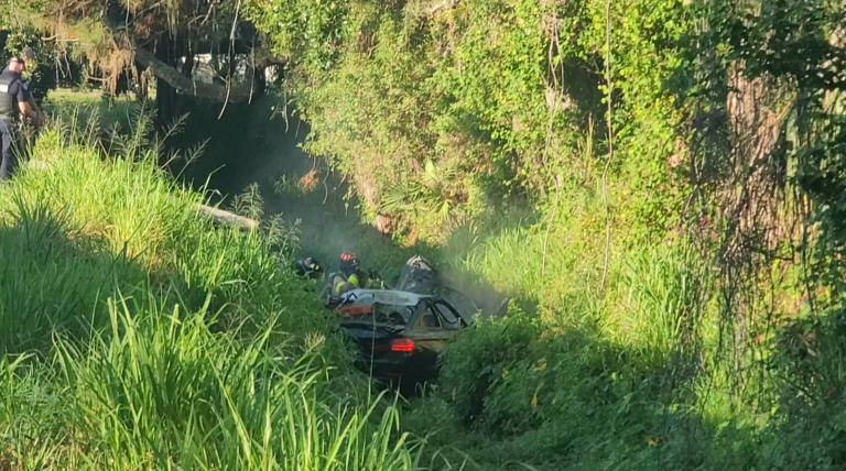 Driver escapes vehicle before car catches fire in Sarasota crash
