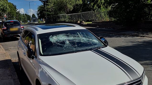 Dozens of car windows smashed by man with crowbar