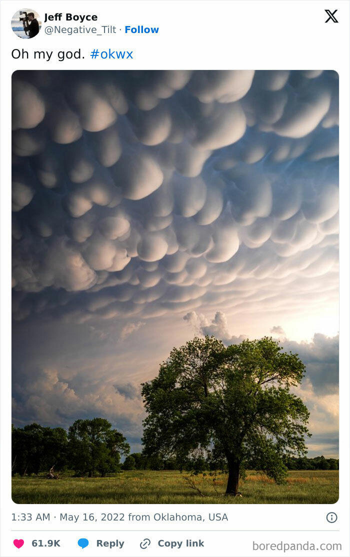 50 pics showing the weird natural phenomena that occur on Earth