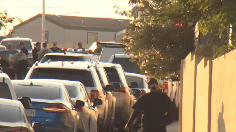 Stolen car pursuit ends with deadly police shooting, Las Vegas police say