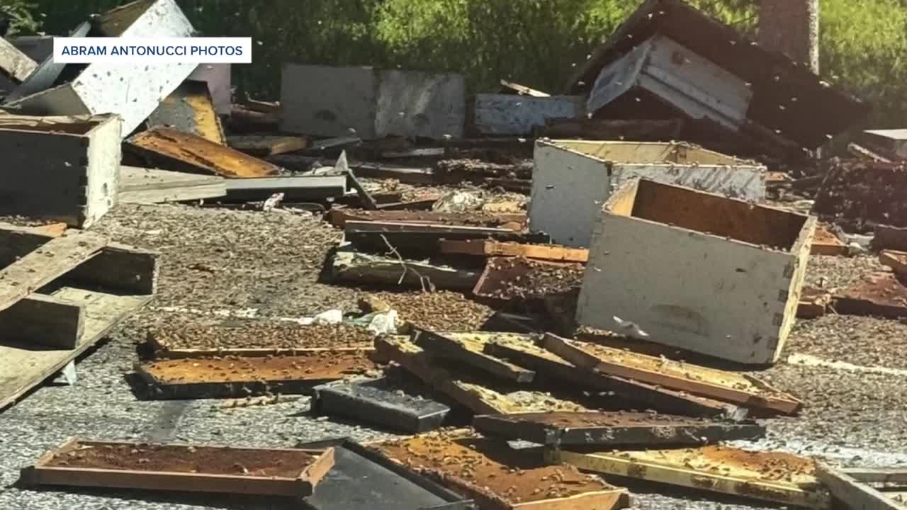 Semi carrying 250 million bees tips over on US-191 in Yellowstone area