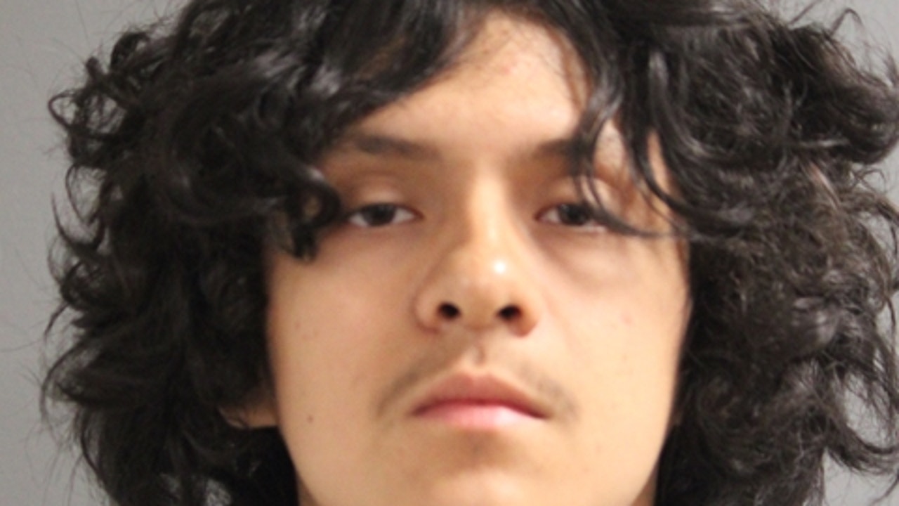 Oak Park man charged in fatal Grant Park shooting that killed bicyclist ...