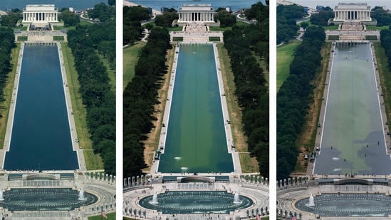 What's happening to the Reflecting Pool? Blue material peels off after ...
