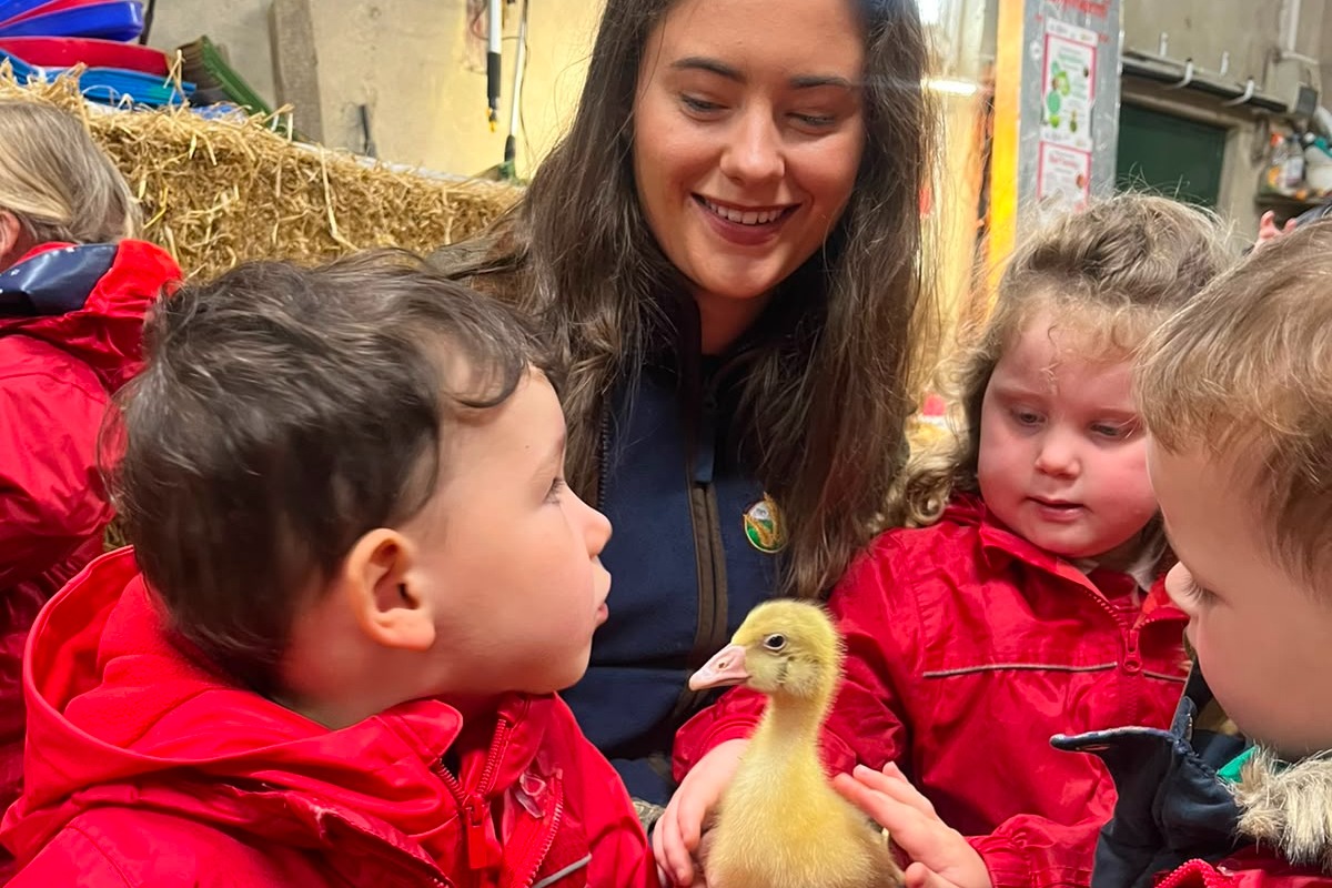 Bank of Ireland Open Farm Weekend welcomes over 13,000 visitors behind ...