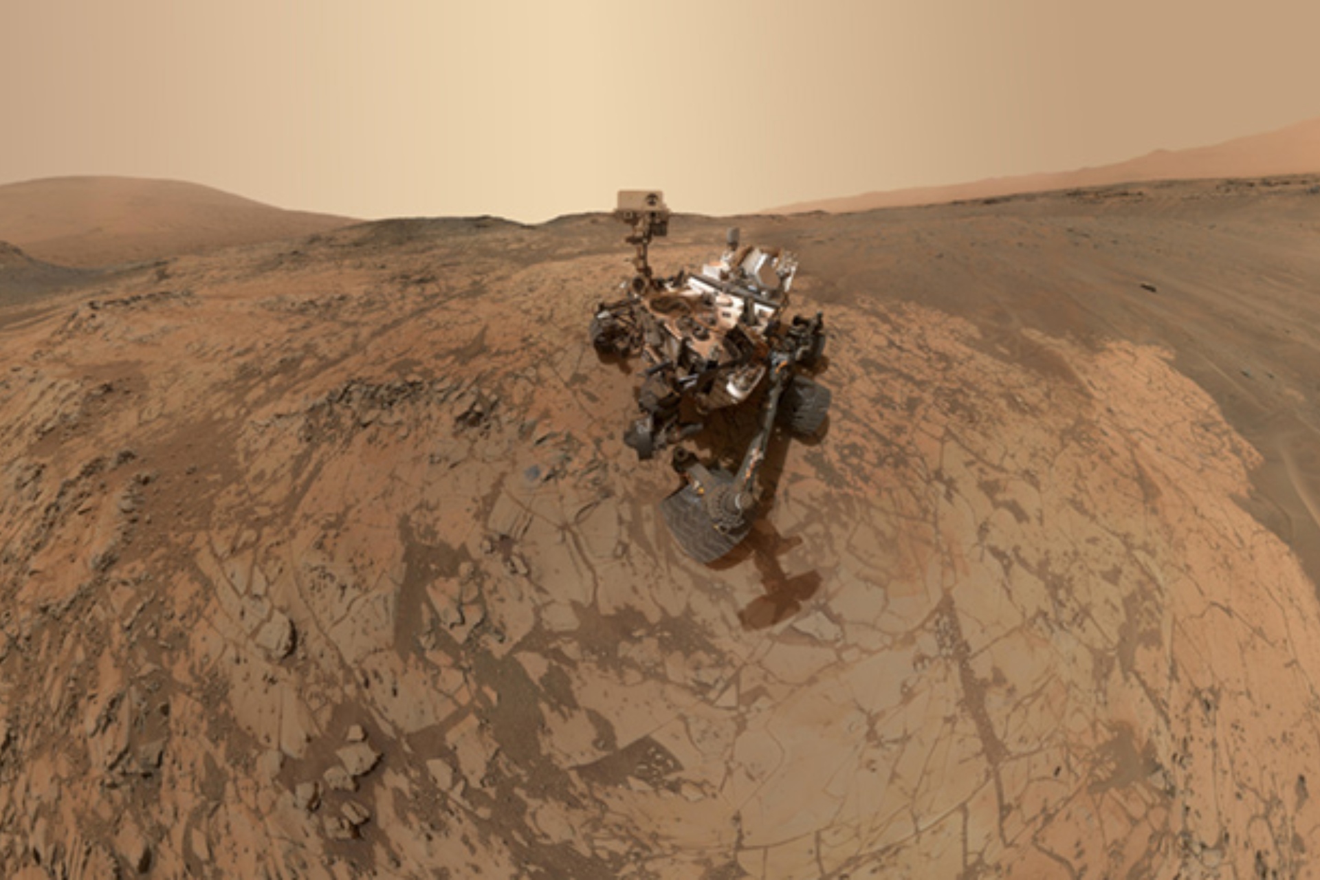Curiosity selfie