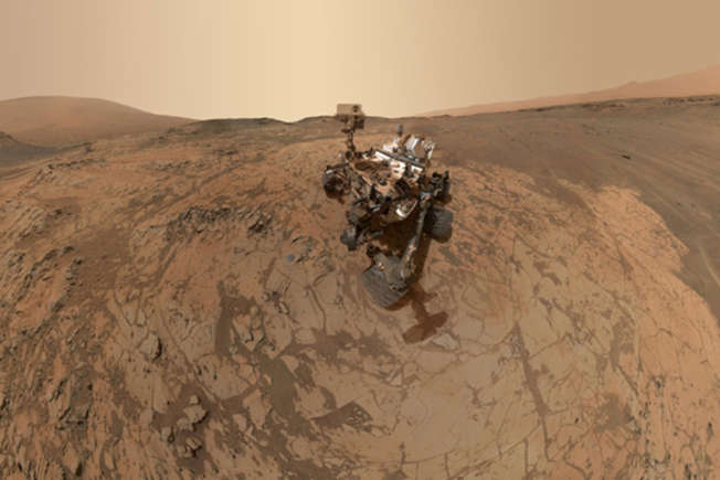 Curiosity selfie
