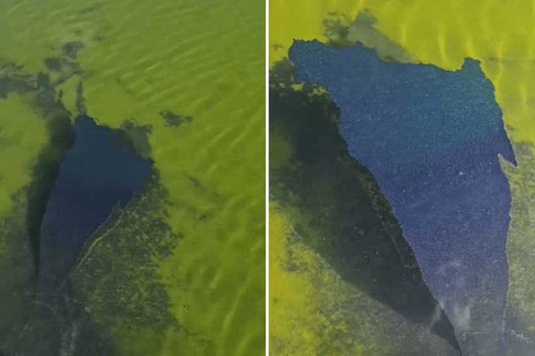 Is the Lincoln Memorial Reflecting Pool floor already peeling?
