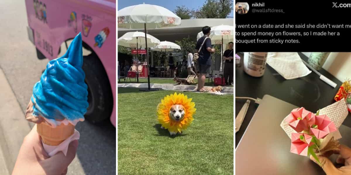 Feel-good posts that made us smile instantly