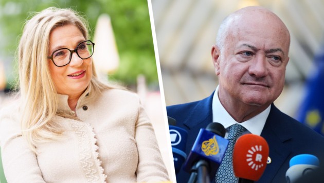 Tour mit Kanzler gestoppt: Sorge um Christa Kummer