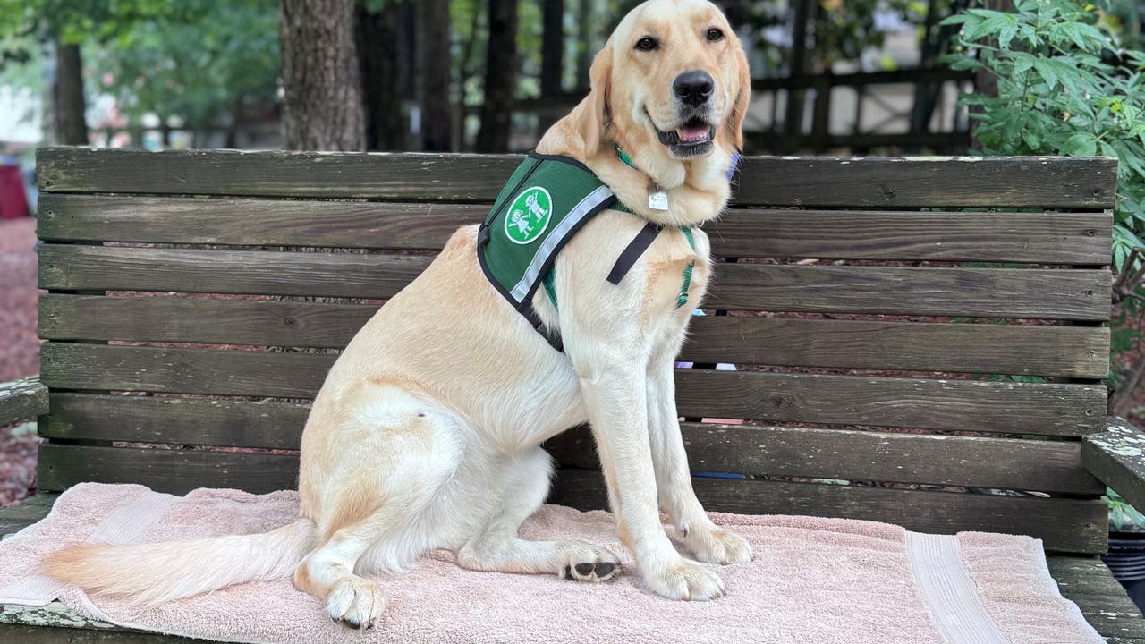 Children's Healthcare welcomes new facility dog