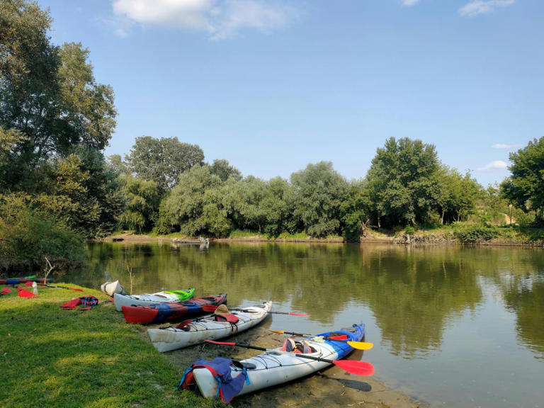 Is kayaking good for families? A beginner's guide to paddling together