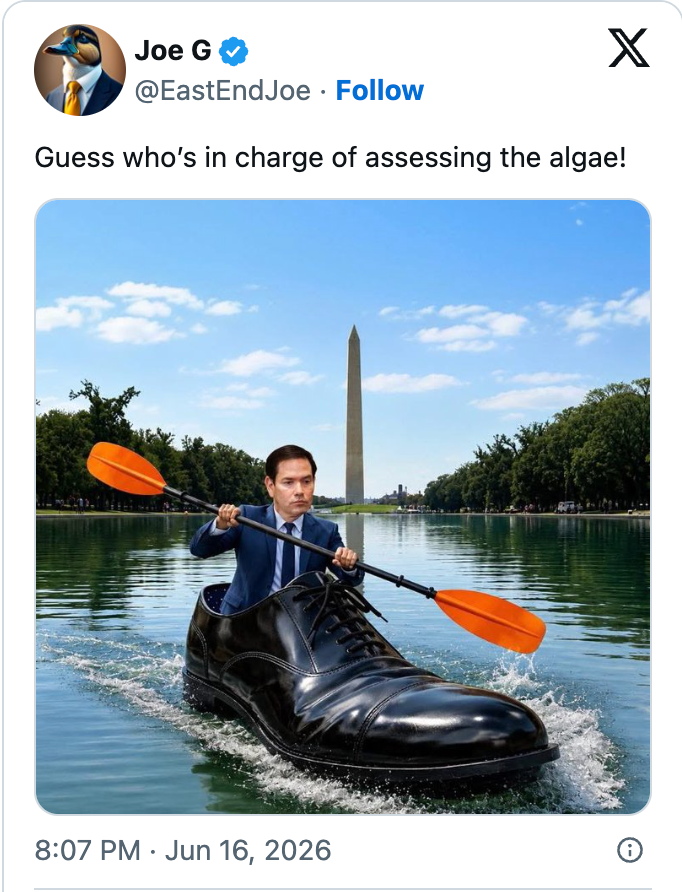 13 brutal reflecting pool jokes and memes that Trump is bound to hate