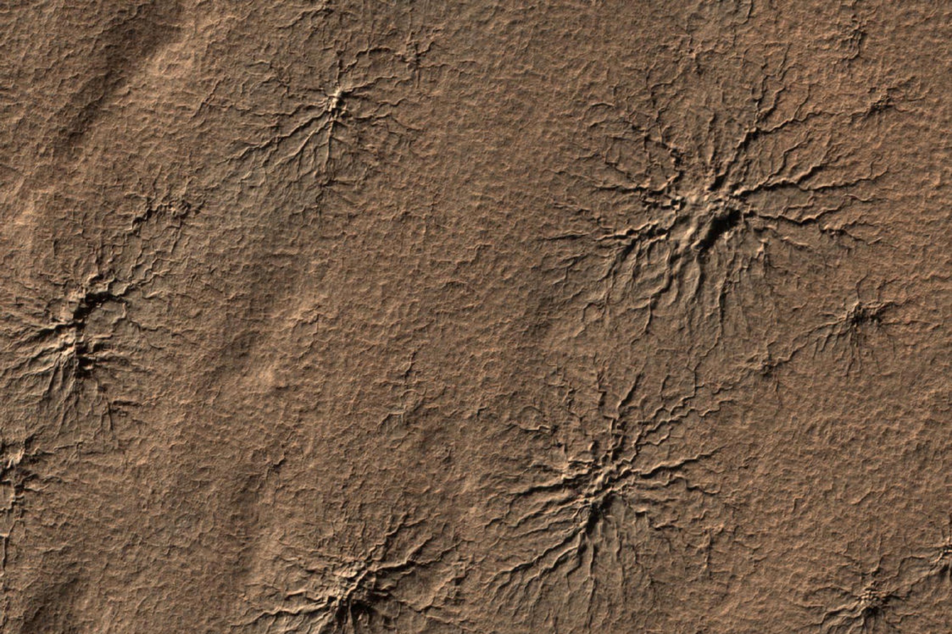 Spider shaped cracks
