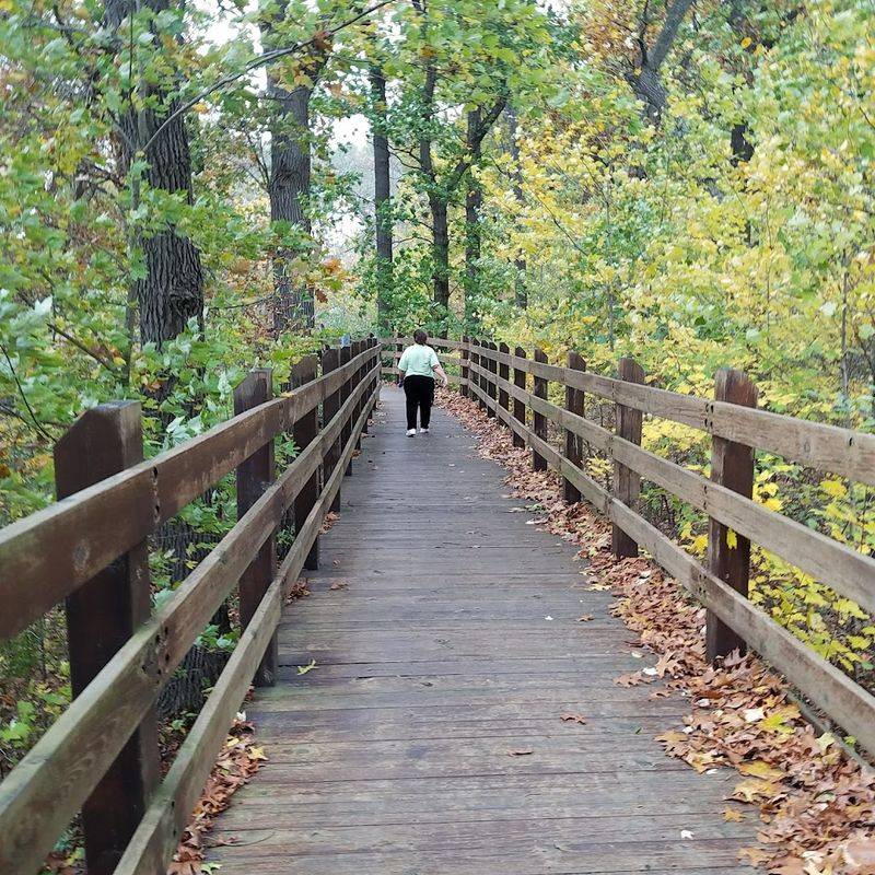 Most locals have no clue this remote Indiana boardwalk hides an epic ...