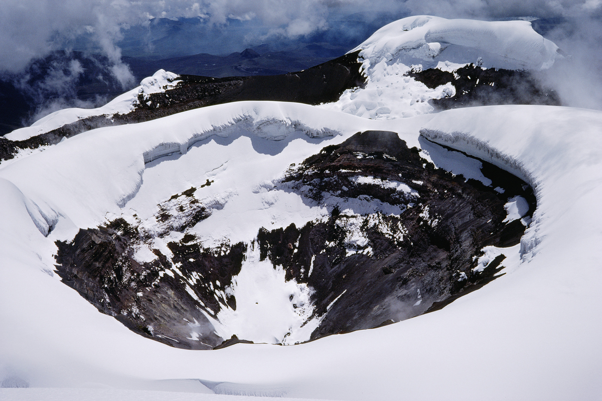 Remarkable discoveries found frozen in ice