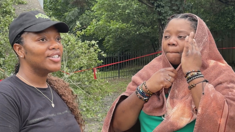 'Literally had to climb out' | Perry family survives tree crashing ...