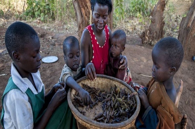 L'ONU alerte sur une aggravation de la faim dans plusieurs parties du monde