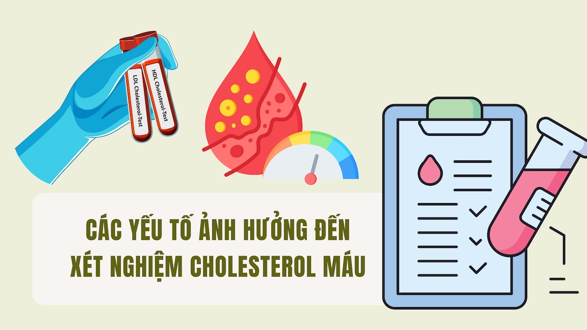 Các yếu tố ảnh hưởng đến xét nghiệm cholesterol máu