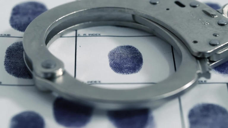 Drug bust in Kershaw leads to 5 arrests
