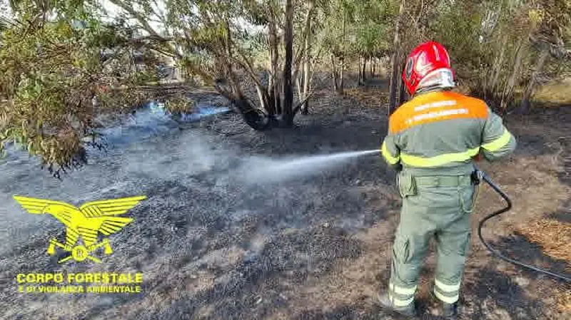 Ancora incendi in Sardegna, oltre 30 roghi: fronti a San Sperate ...