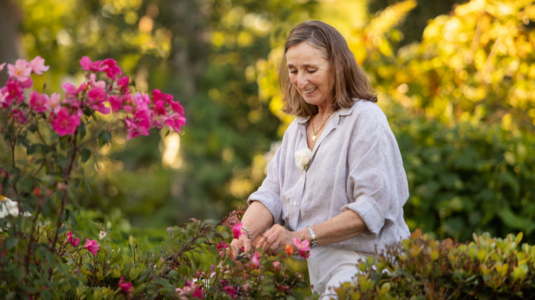 The 8 best fragrant, romantic flowering shrubs that aren't roses