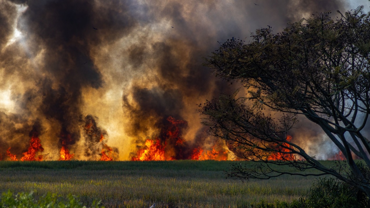 The Shore Fire has burned 3,085 acres in Riverside County and is only a ...