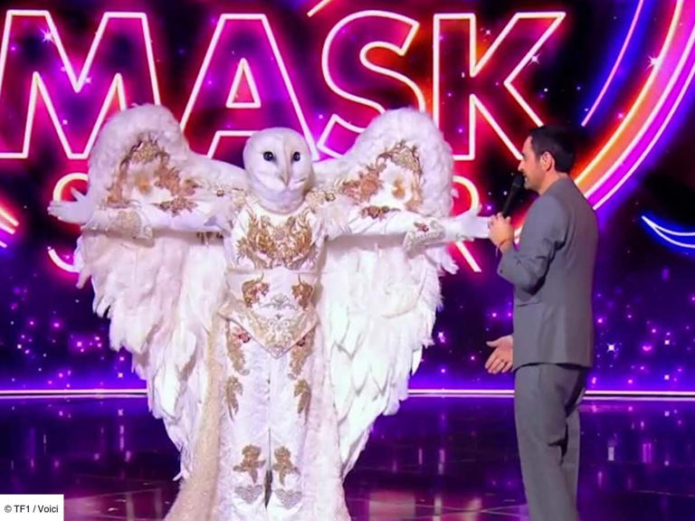 Mask Singer : découvrez quelle personnalité se cachait sous le costume ...