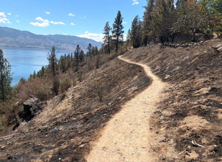 Suspected illegal campfire blamed for Kalamoir Park wildfire as safety ...