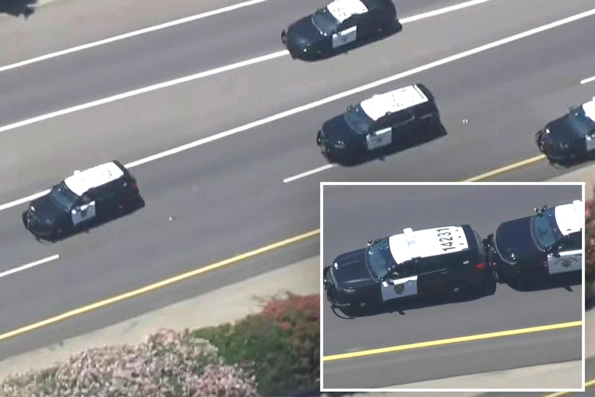 Stolen police cruiser leads cops on wild chase through streets of ...