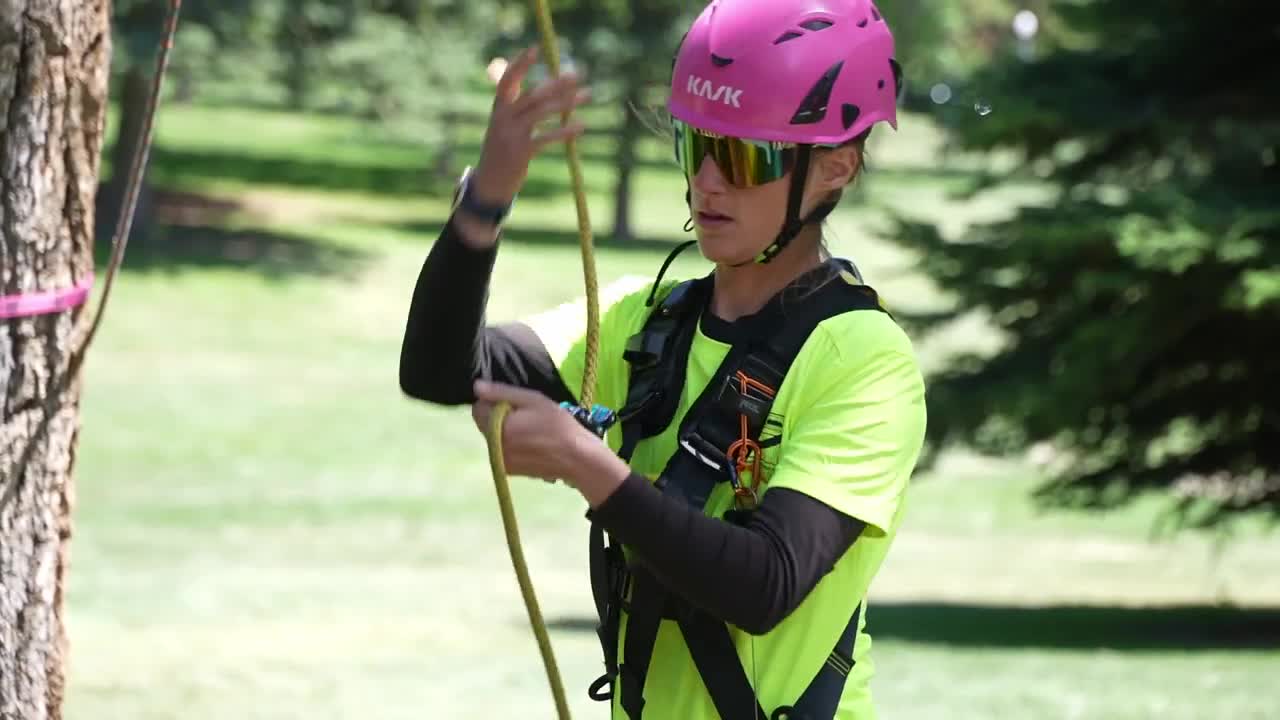Arborists from 4 states compete in Billings tree climbing competition