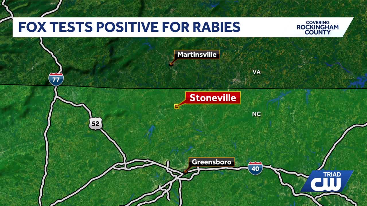 Rabies case involving fox in Rockingham County