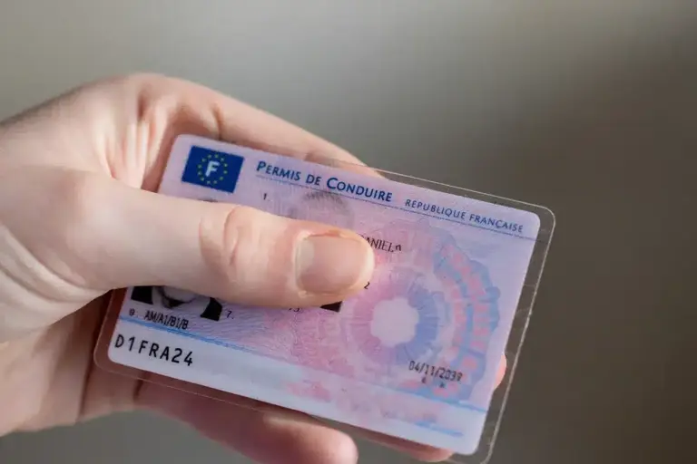 Usurpation Permis De Conduire