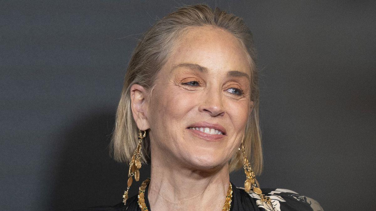 Sharon Stone at center of 'horrific' attack fears after she shared ...