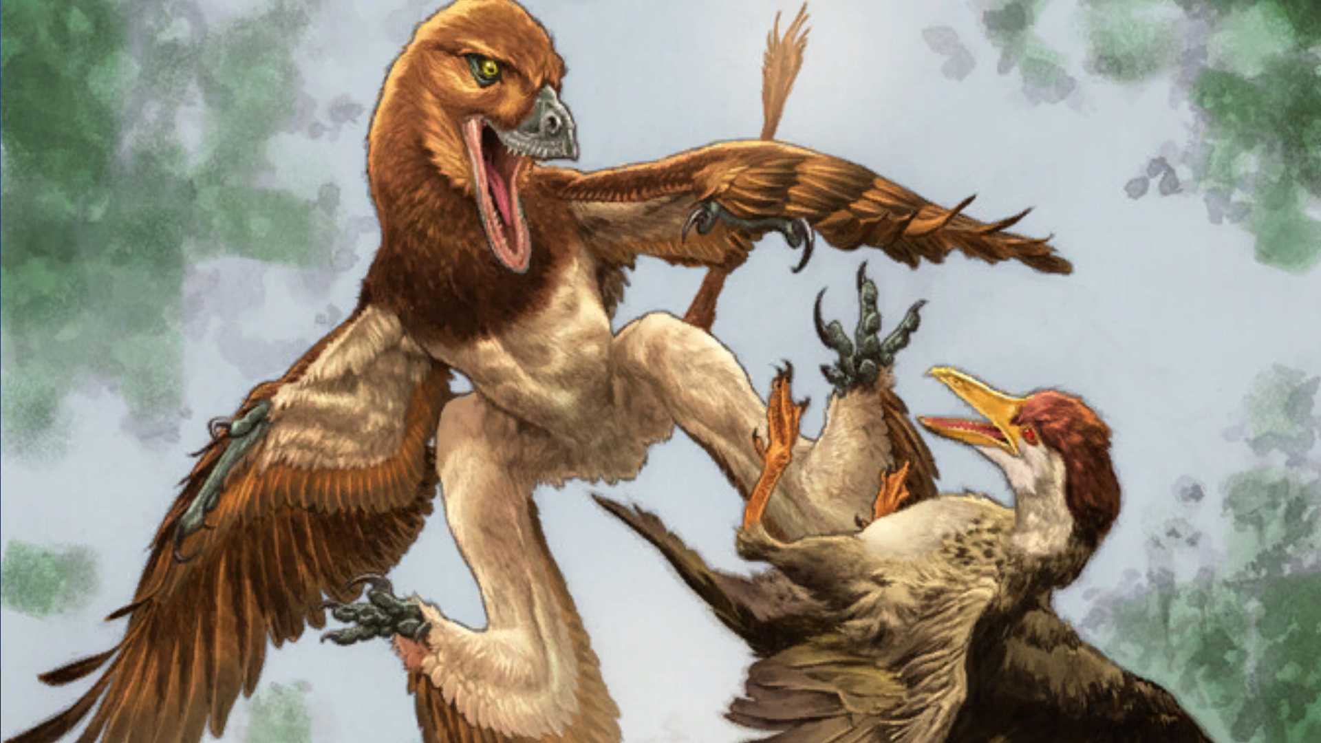 unl-paleontologist-helps-to-identify-new-dinosaur-species
