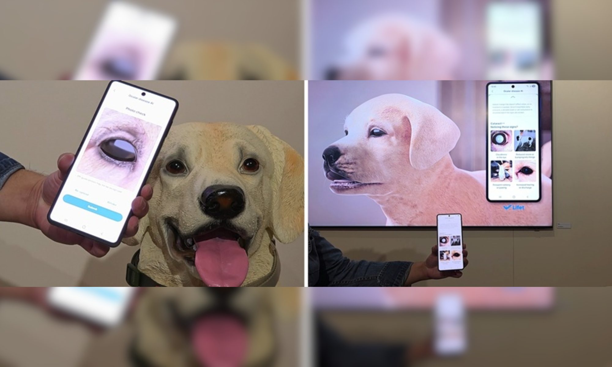 Samsung’s pet tech only needs a picture to detect health issues hurting ...
