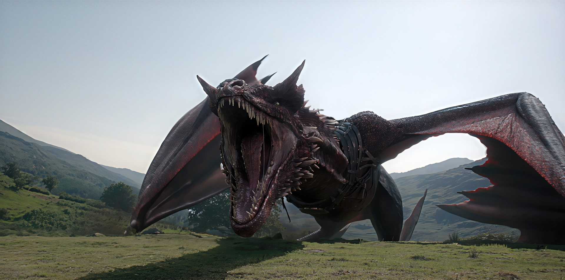 house of the dragon sheepstealer