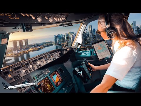 discover-the-thrill-of-a-cockpit-landing-in-singapore