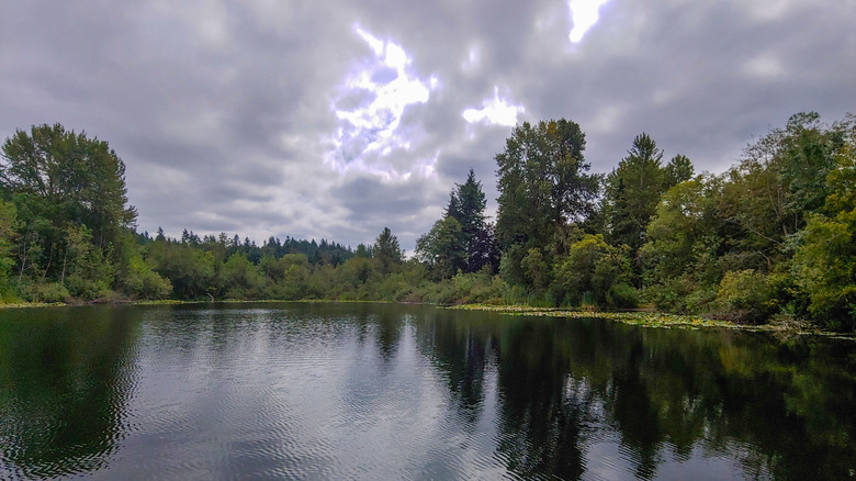 Between Seattle and Tacoma is a quaint suburb with scenic parks, golf ...