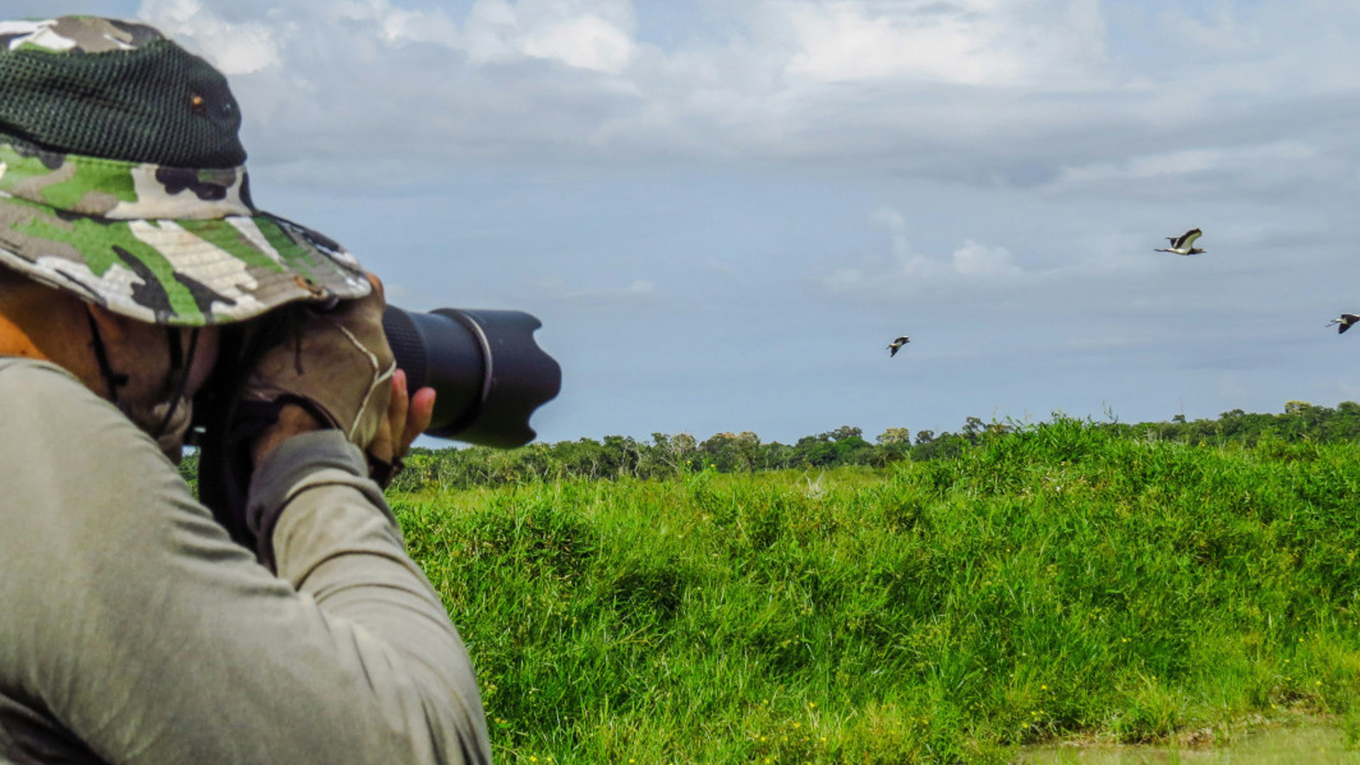Birdwatcher becomes the first person to spot 10,000 bird species in the ...