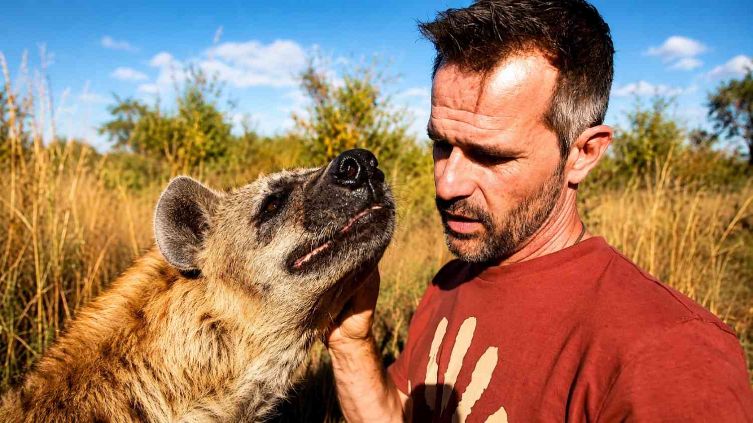 A hand-raised hyena still ruled like a predator
